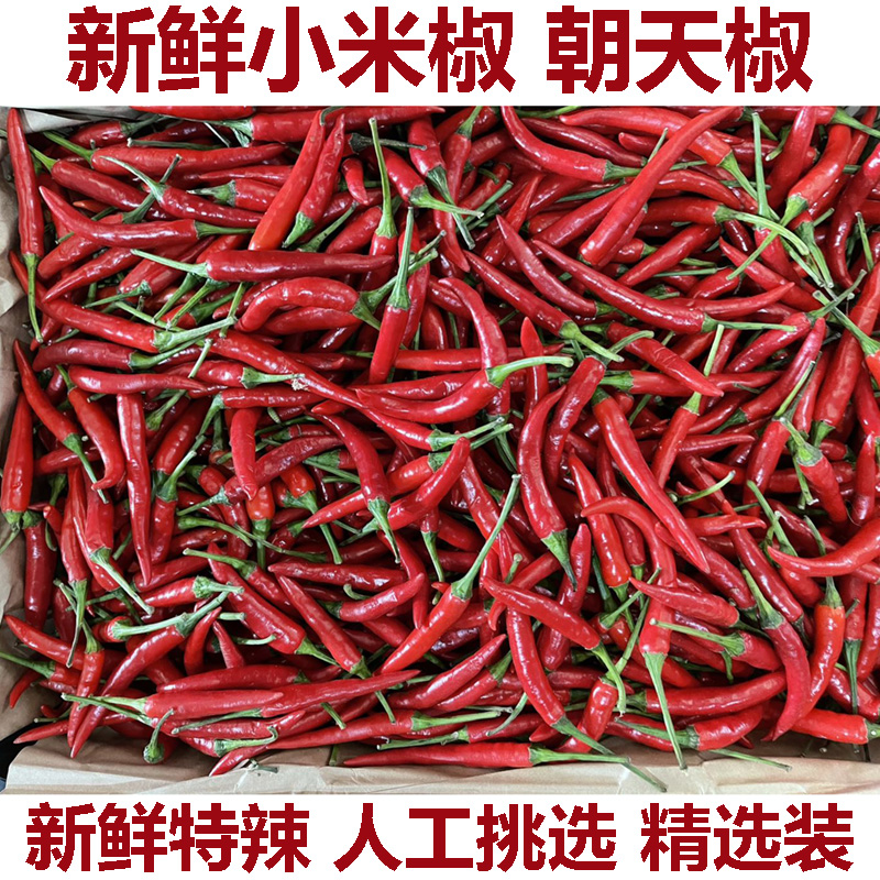 新鲜小米辣椒农家自种红辣椒指朝天椒蔬菜泡椒特辣小米椒鲜辣包邮