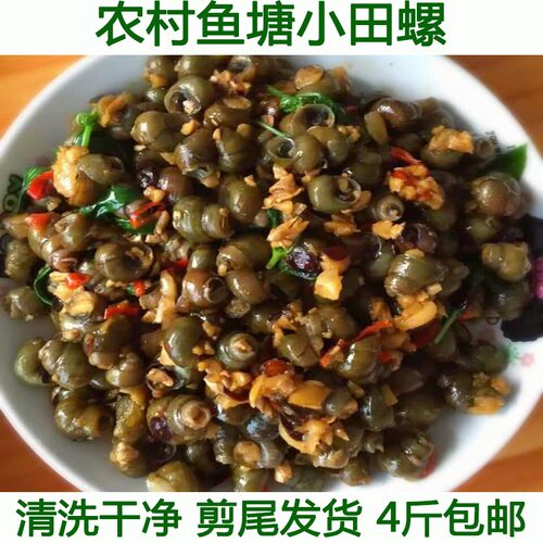 小田螺泥螺小泥螺螺丝肉鲜活螺蛳