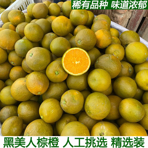 秭归棕橙黑美人棕色脐橙