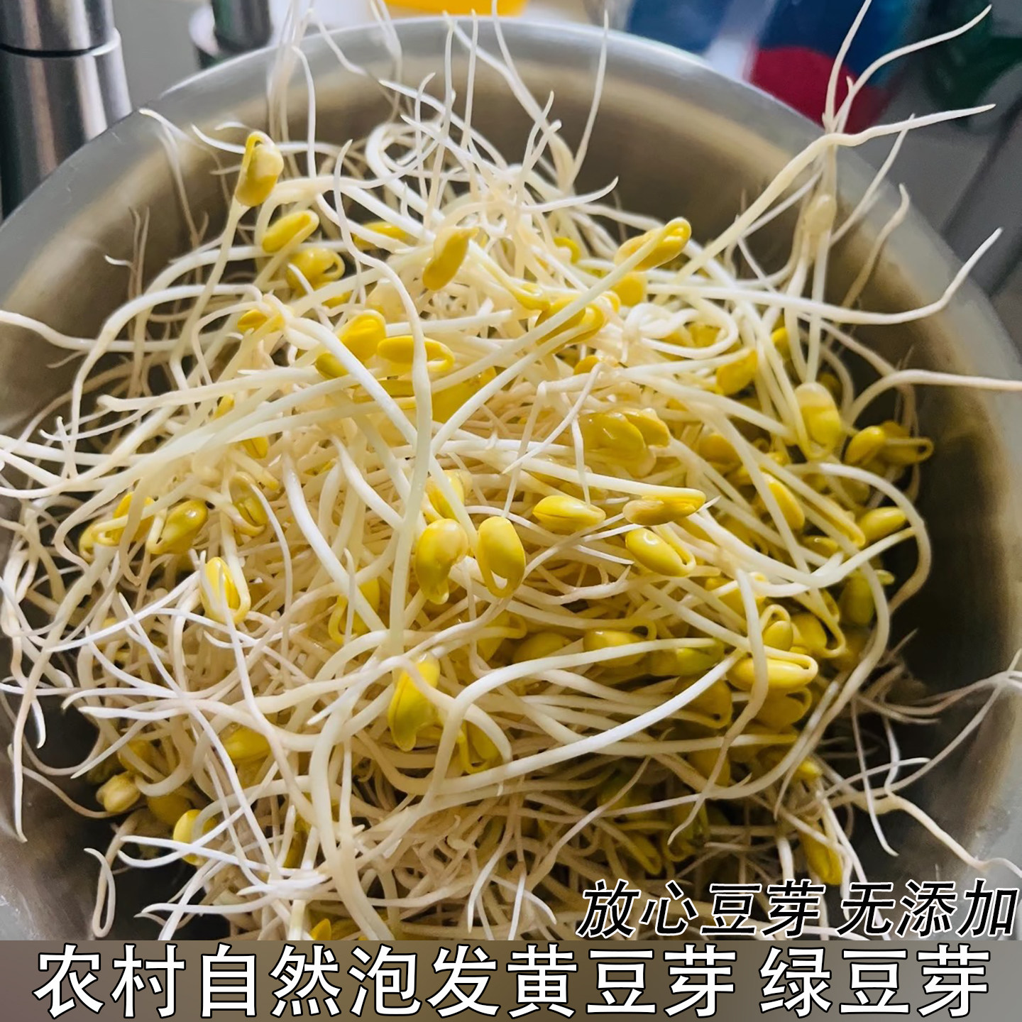 豆芽新鲜蔬菜自然泡发黄豆芽农家自种黄豆泡制无根短豆芽现摘包邮