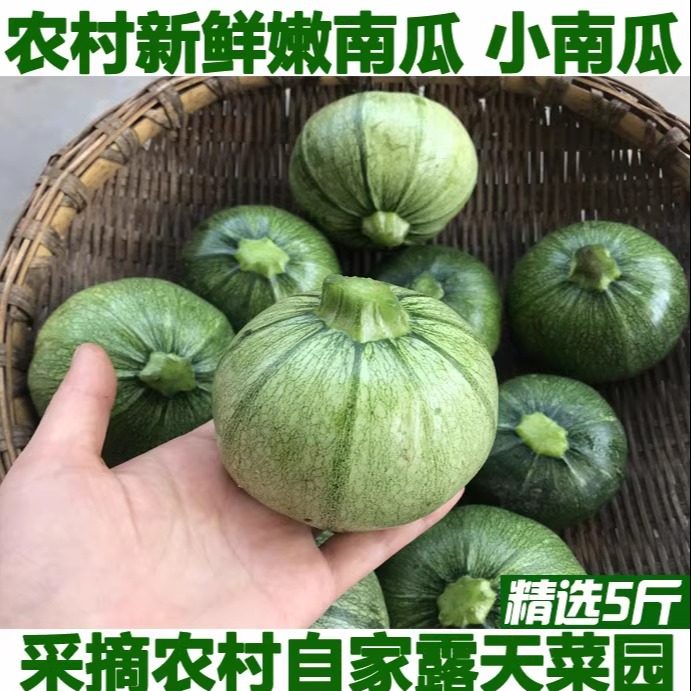 新鲜嫩南瓜小南瓜农家自种菜南瓜嫩瓜露天小嫩南瓜本地蔬菜包邮