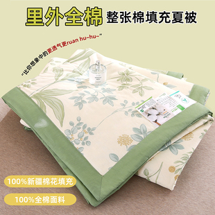 2026新款里外全棉夏被纯棉棉棉花夏凉被空调被 被子被芯