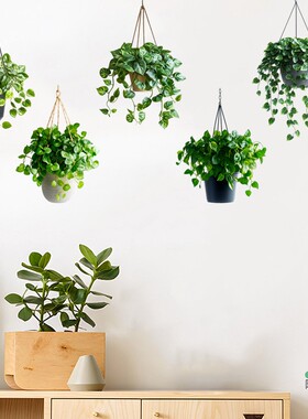 小清新创意绿植吊篮盆栽自粘防水墙贴画客厅卧室装饰贴纸防水遮丑