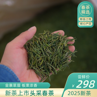 2025新茶 金寨翠眉 新茶上市 板栗香型