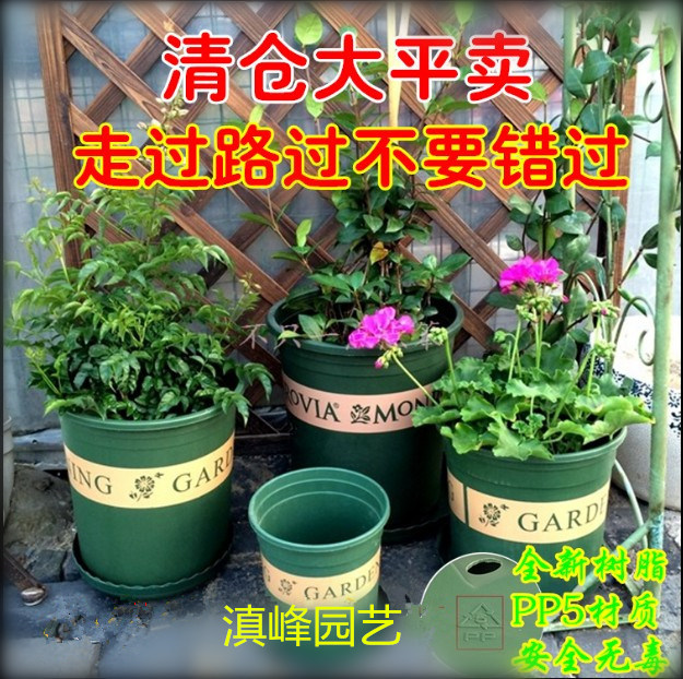 现货绿色加仑盆印花圆形盆送托盘