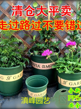 百合花种球专用塑料花盆 加仑盆1、2加仑 绿色印花圆形盆送托盘