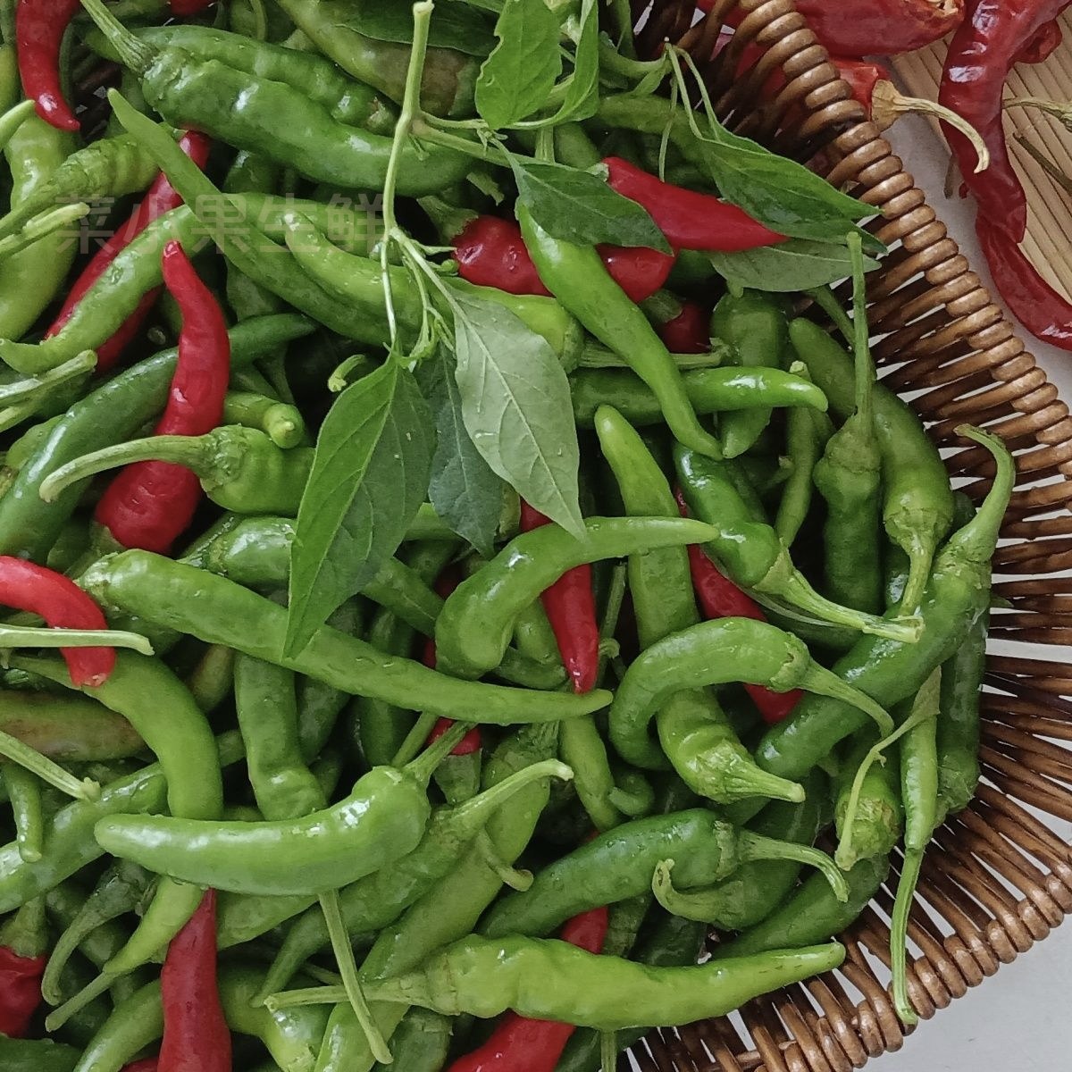 新鲜辣椒螺丝椒农家土辣椒本地薄皮椒特辣皱皮尖椒现摘青尖椒蔬菜