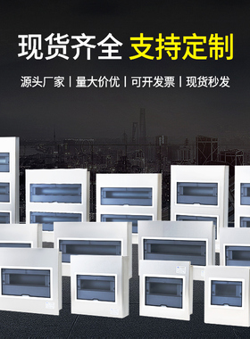 304/201不锈钢PZ30配电箱家装室内照明箱8回路明暗装强电闸开关盒