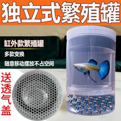 独立式繁殖罐亲子独立繁殖罐