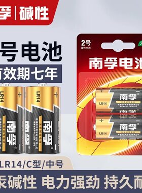 南孚2号碱性电池二号lr14中号电池C型1.5v玩具碱性干电池1粒价