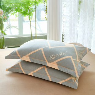 2024新款全棉加厚生态磨毛枕套 纯棉秋冬季保暖枕罩单人学生宿舍