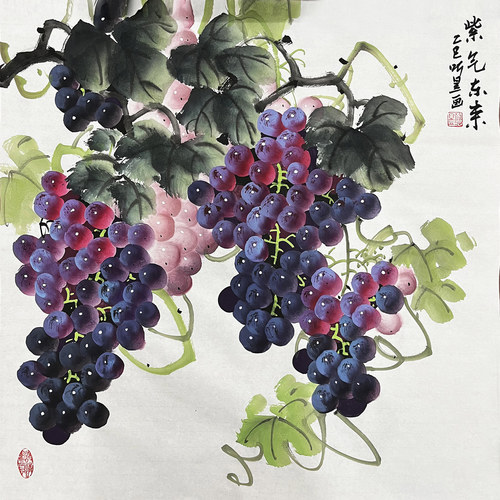 听昱纯手绘国画葡萄紫气东来三尺斗方餐厅走廊玄关客厅手工装饰画