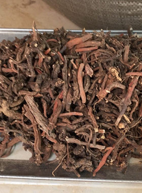 文山丘北丹参特级野生茶
