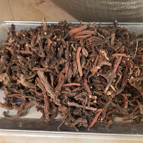 文山丘北丹参特级野生茶