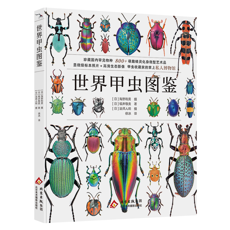 世界甲虫图鉴 全球800+种甲虫 标本制作 自然摄影 昆虫 福井敬贵 科普读物