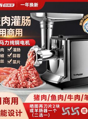 Tenfly家用商用电动绞肉机小型不锈钢多功能自动饺馅灌肠蒜蓉