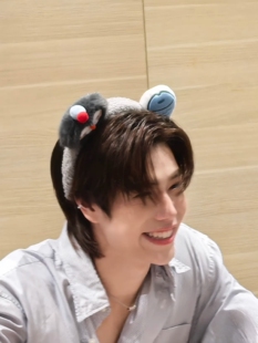 秋冬可爱卡通毛绒灰色企鹅小鱼发箍洗脸压发男女发卡头箍发饰头饰