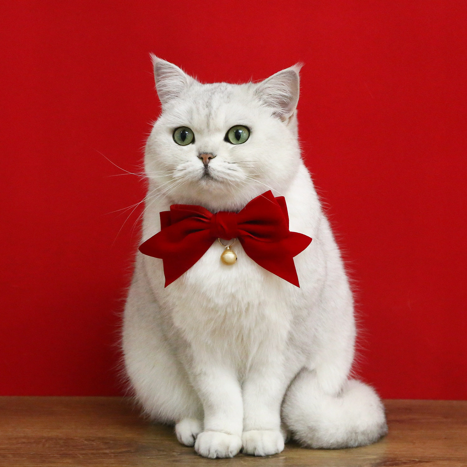 宠物铃铛生日领结新年喜庆丝绒蝴蝶结猫咪项圈红婚礼调节狗狗颈链
