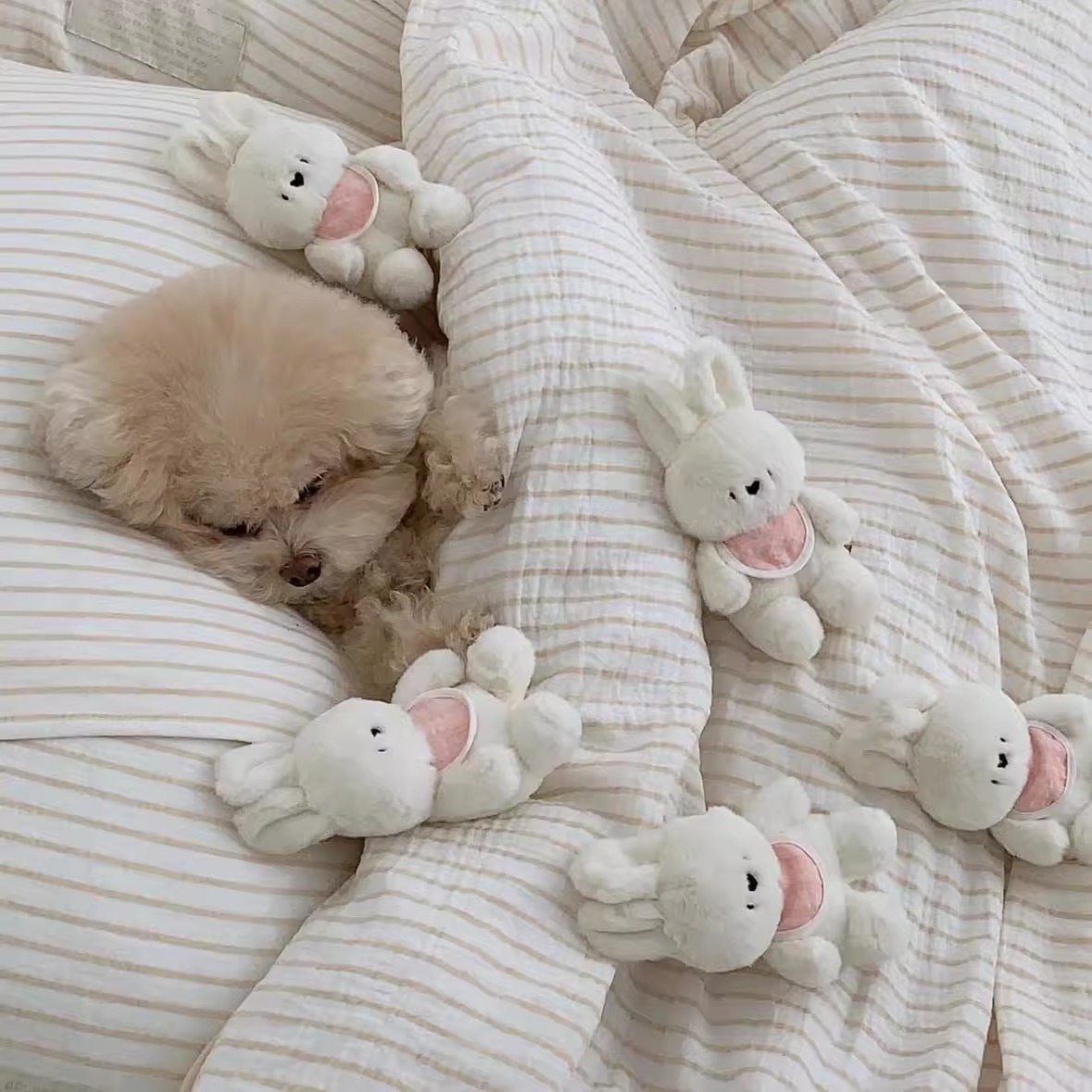 ins风狗狗玩具安抚陪睡小兔子可爱BB叫玩偶宠物发声响纸毛绒玩具