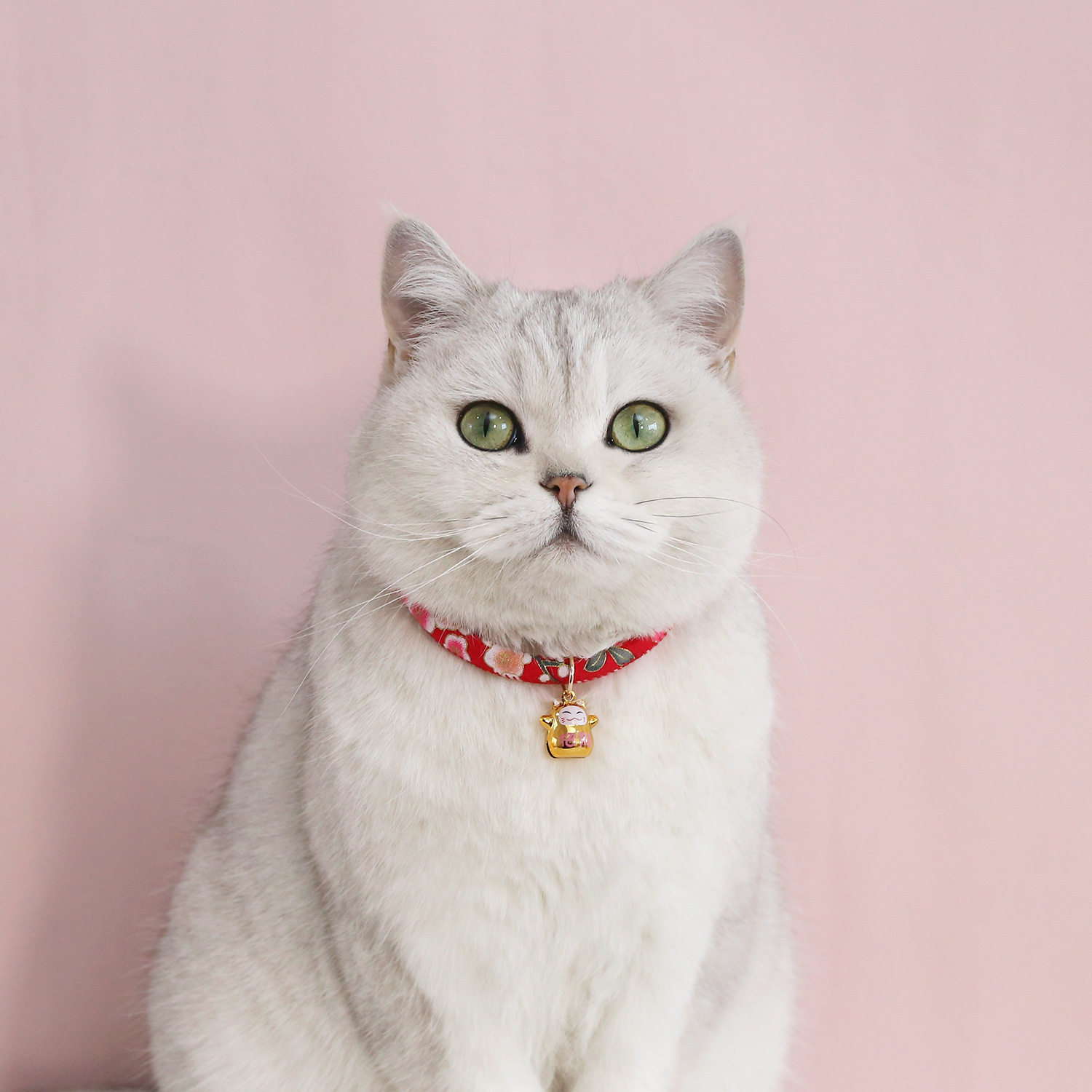 日系和风猫咪项圈铜铃铛花朵柴犬招财猫狗狗可调节颈链宠物配饰