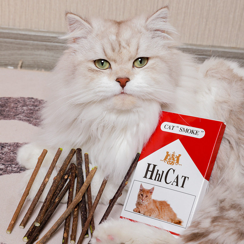 木天蓼猫烟猫咪磨牙棒宠物用品自嗨洁齿猫薄荷华子猫咪玩具香烟