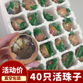 即食 扬州特产40只活珠子13天熟鸡宝鸡胚蛋非毛鸡蛋旺鸡蛋真空包装