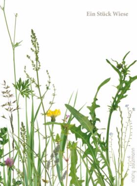 预订【德语】 Ein Stück Wiese und ein Fuder Heu:
