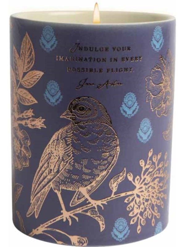 JANE AUSTEN: INDULGE YOUR IMAGINATION