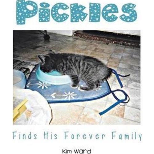 预订，预计下单后3-4周左右发货！