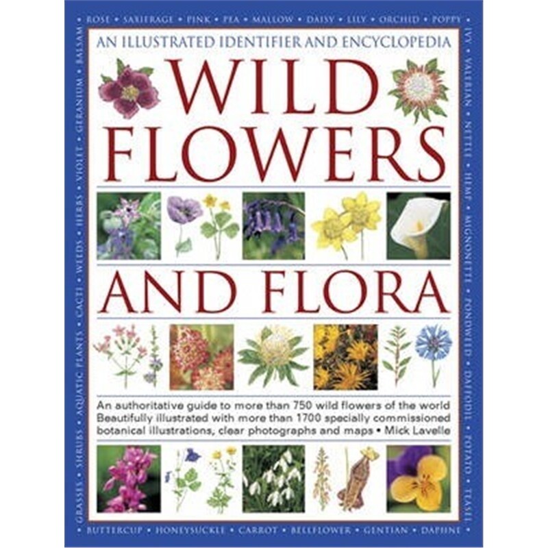 预订不退不换Illustrated Identifier and Encyclopedia: Wild Flowers and Flora