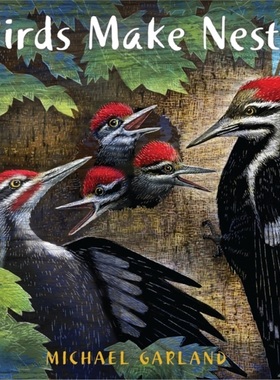 预订Birds Make Nests[9780823441761]