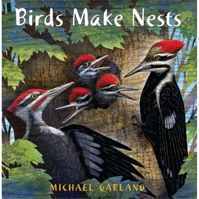预订Birds Make Nests[9780823441761]