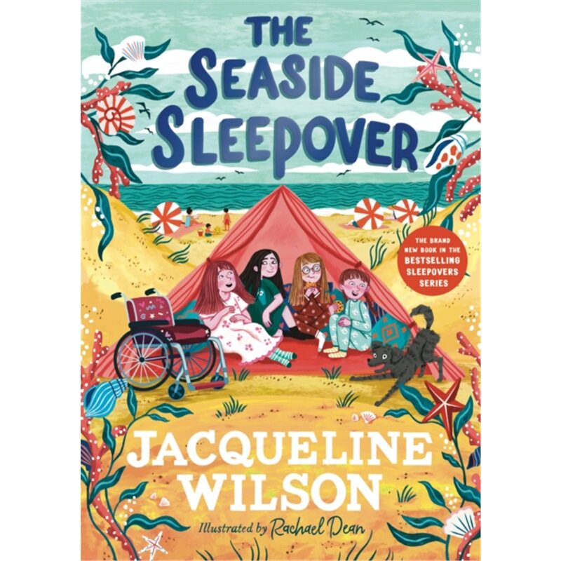 现货The Seaside Sleepover 海滨露宿 杰奎琳威尔逊  英文原版 儿童章节书[9780241684115]