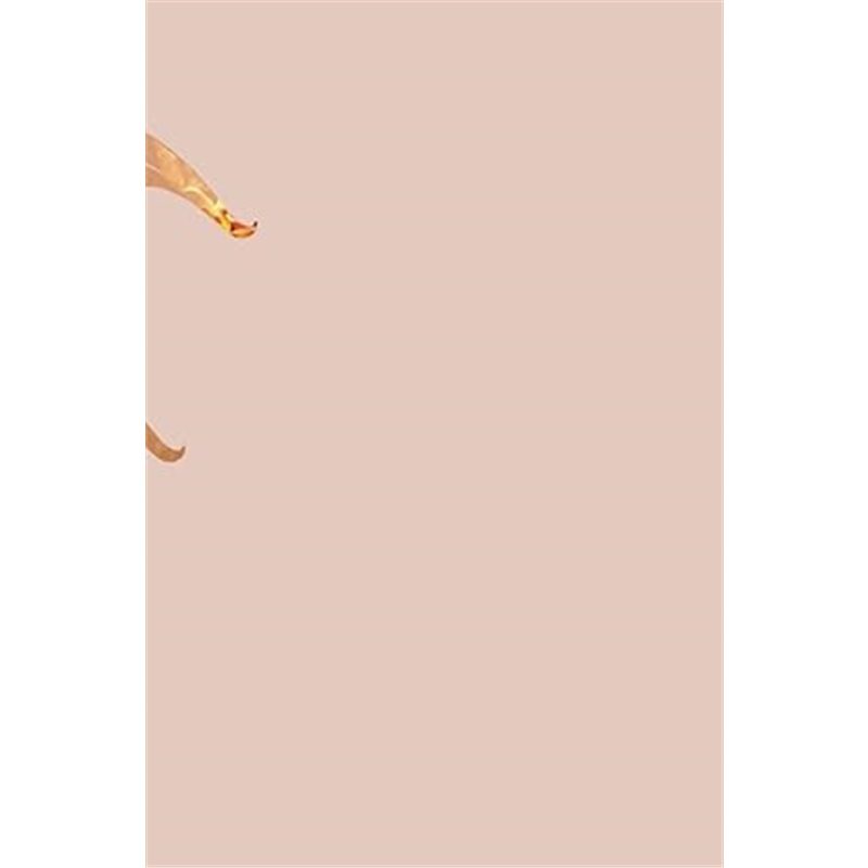 预售Games Untold 继承游戏