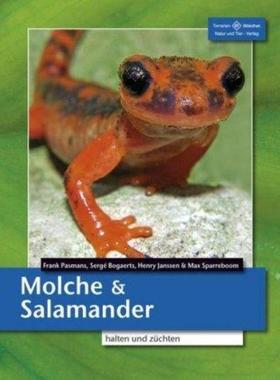 预订【德语】 Molche und Salamander:halten und züchten