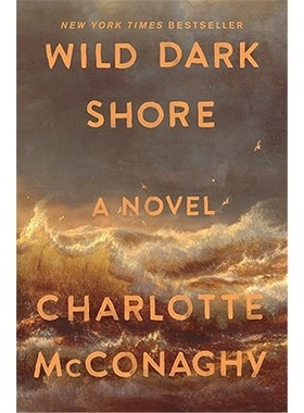 现货Wild Dark Shore[9781250827951]
