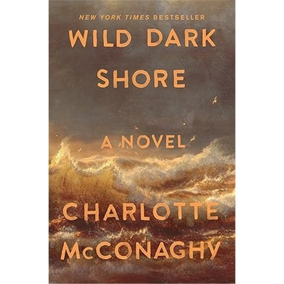 现货Wild Dark Shore[9781250827951]