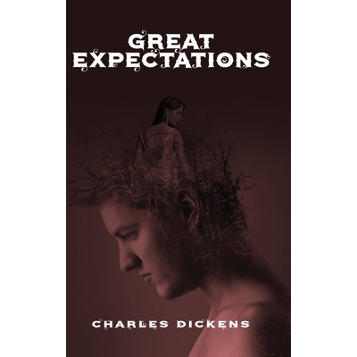 按需印刷不退不换Great Expectations[9781645940005]