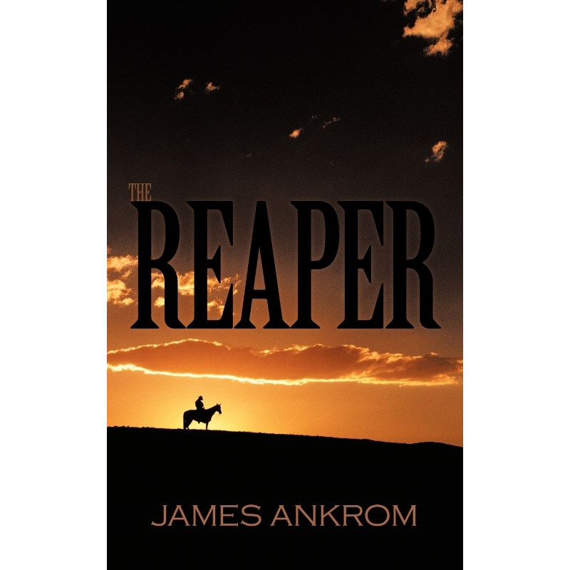 预订，预计下单后2-3周左右发货！