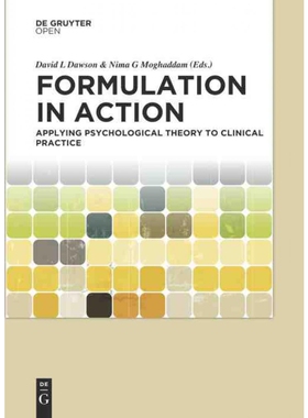 按需印刷不退不换DEG Formulation in Action[9783110470994]