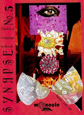 按需印刷Synapse 5[9781948637060]