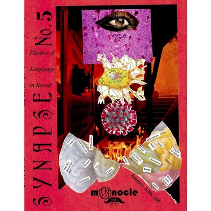 按需印刷Synapse 5[9781948637060]