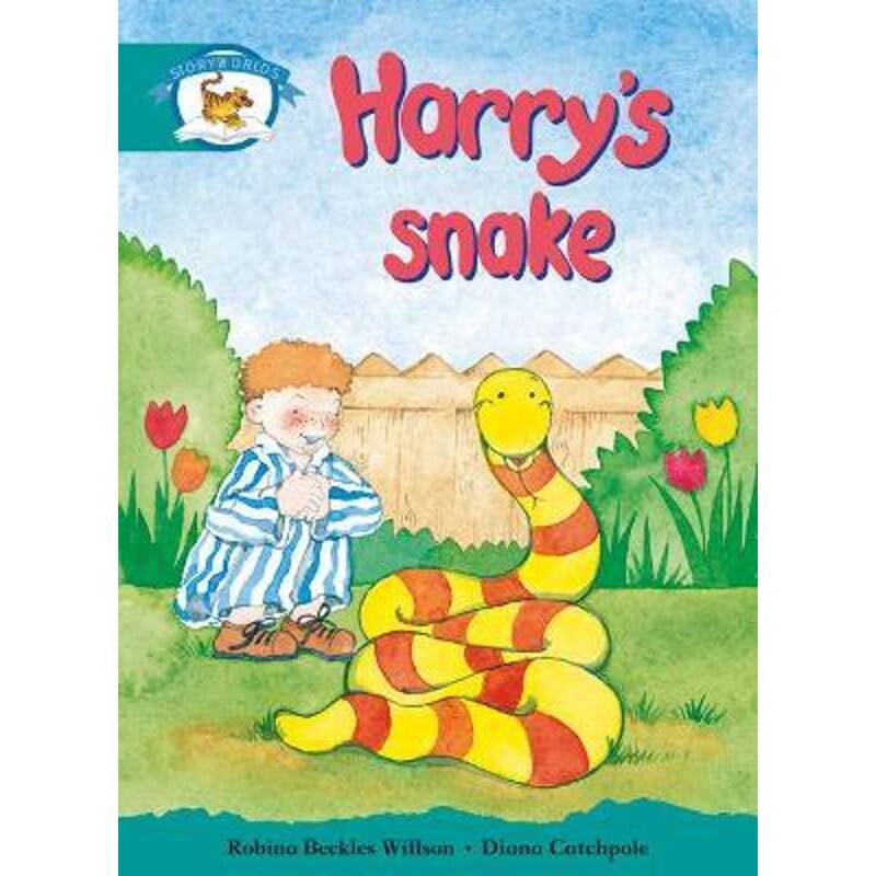 预订，预计下单后2-3周左右发货！