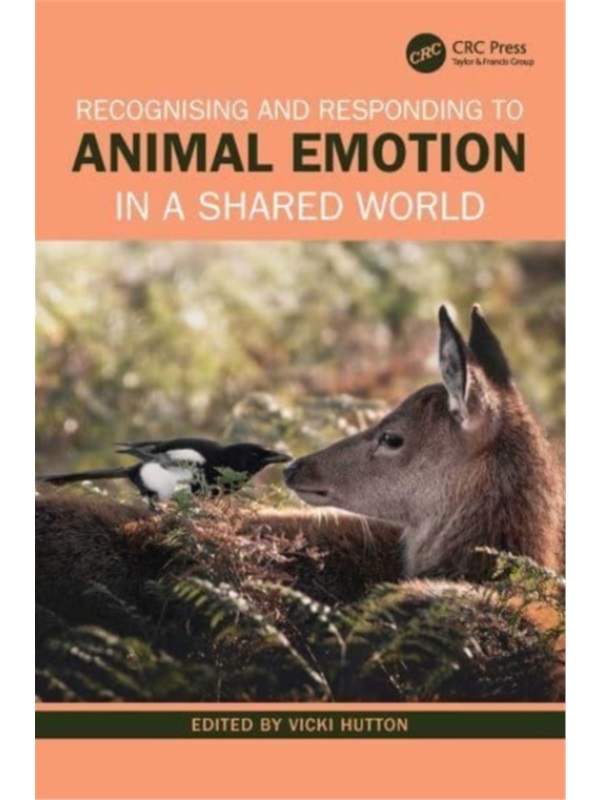 预订，预计下单后4-6周左右发货