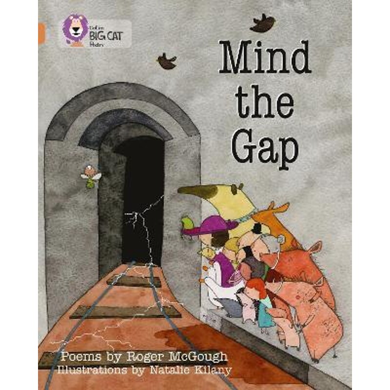 预订，预计下单后2-3周左右发货！