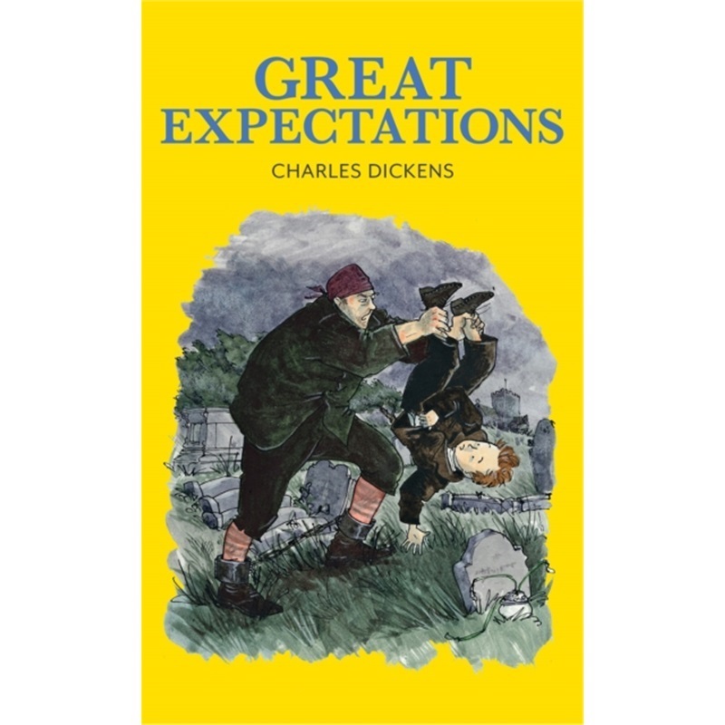 预订，预计下单后4-6周左右发货