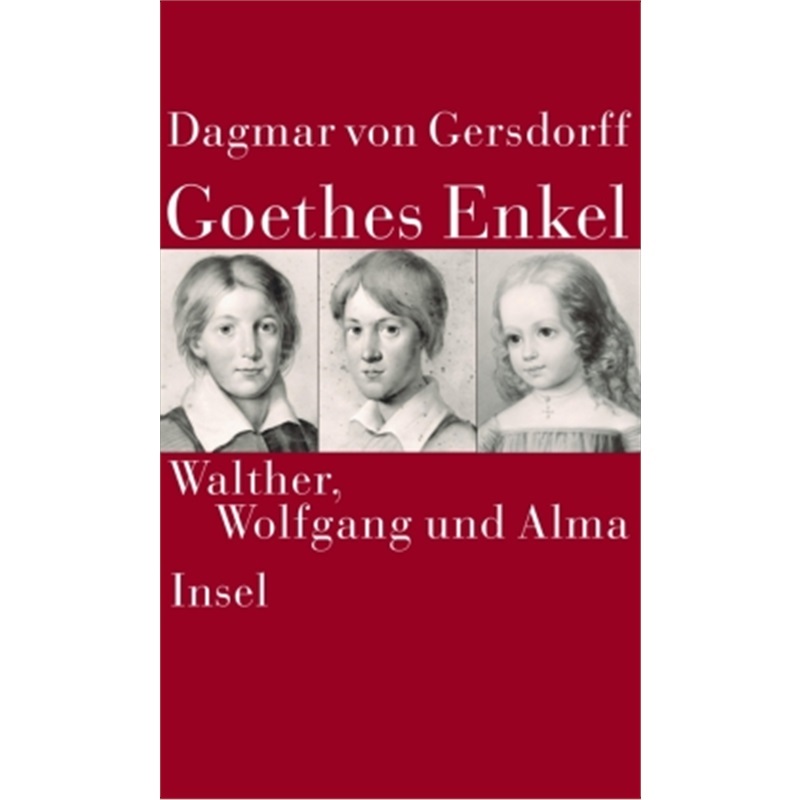 预订【德语】Goethes Enkel[9783458173922]