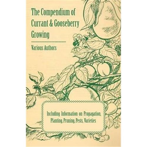 预订，预计下单后3-4周左右发货！