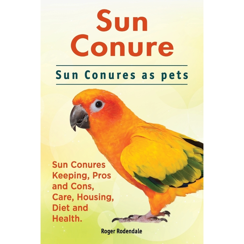 预订Sun Conure. Sun Conures as pets. Sun Conures Keeping, Pros and Cons, Care, Housing, Diet and Health.