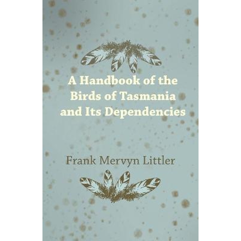 预订，预计下单后2-3周左右发货！